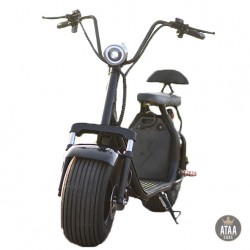 CityCoco removable Battery ATAA CARS SCOOTERS