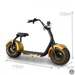 Scooter electric CityCoco GOLD 60v ATAA CARS SCOOTERS